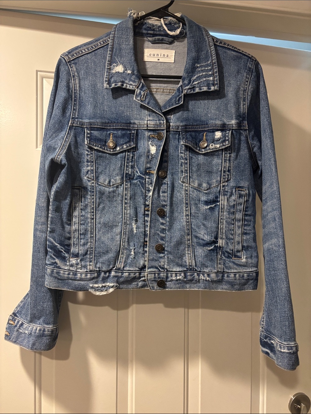 Eunina Blue Distressed Denim Jacket